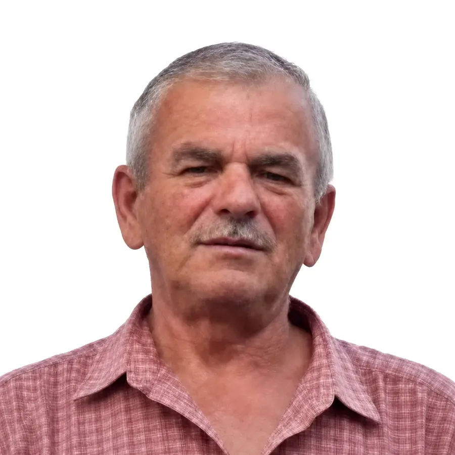 Molnár János arcképe